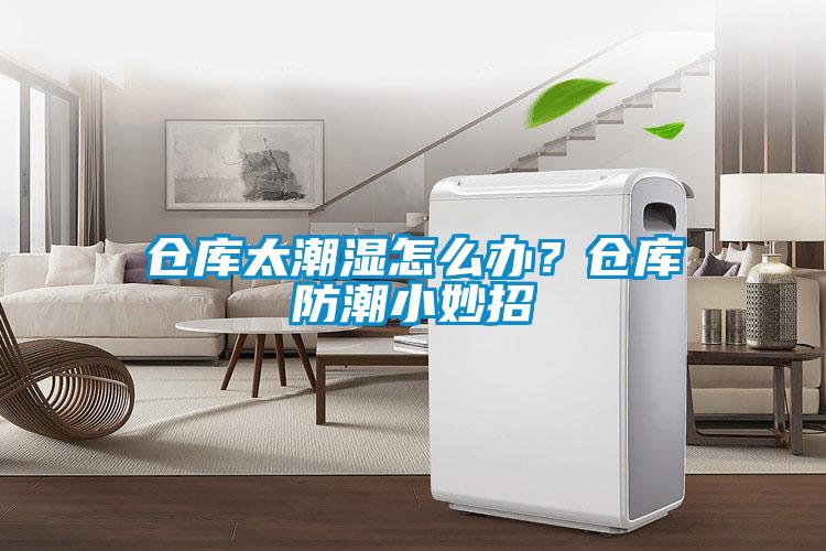 仓库太潮湿怎么办？仓库防潮小妙招