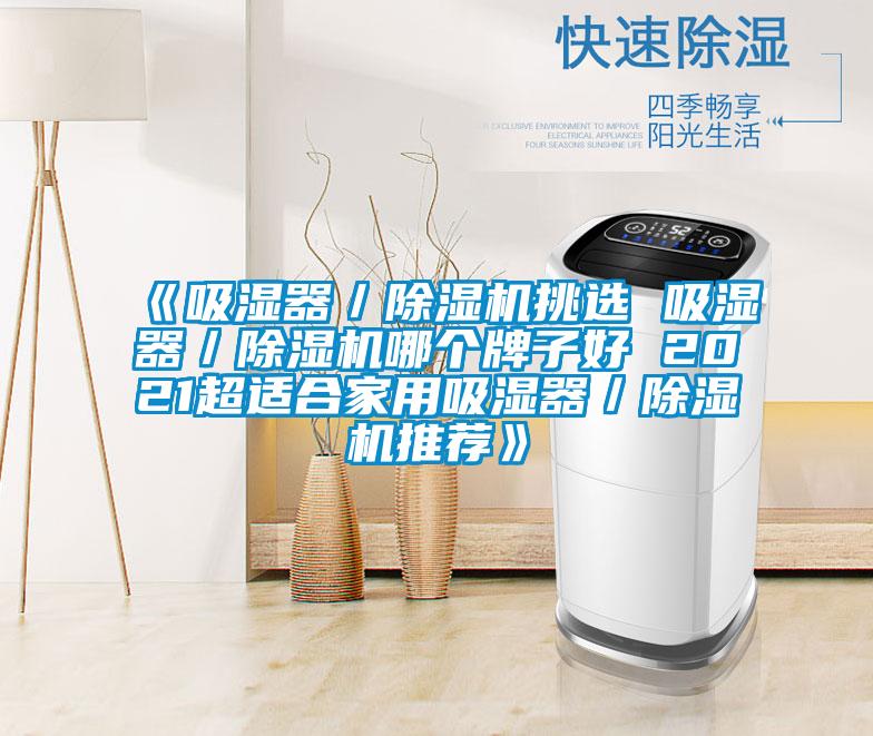 《吸湿器／香蕉福利视频机挑选 吸湿器／香蕉福利视频机哪个牌子好 2021超适合家用吸湿器／香蕉福利视频机推荐》