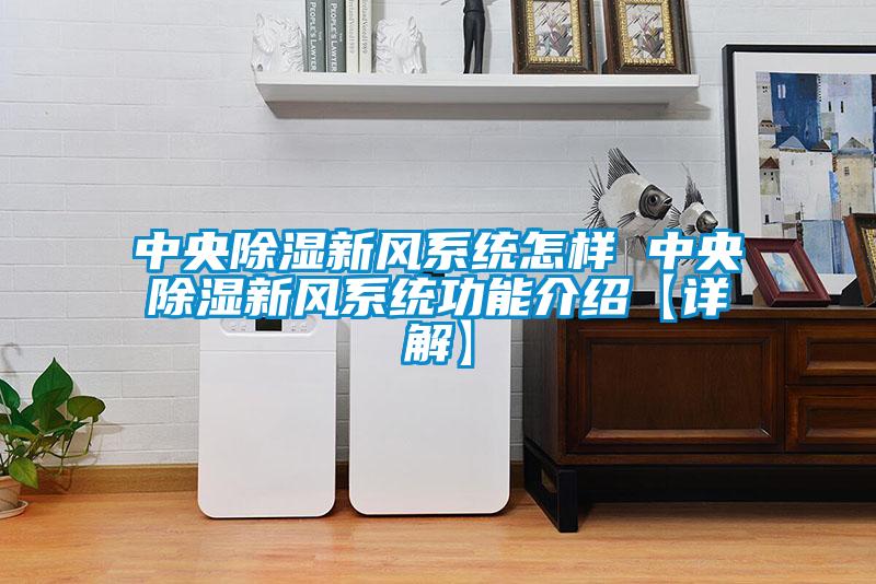 中央香蕉福利视频新风系统怎样 中央香蕉福利视频新风系统功能介绍【详解】