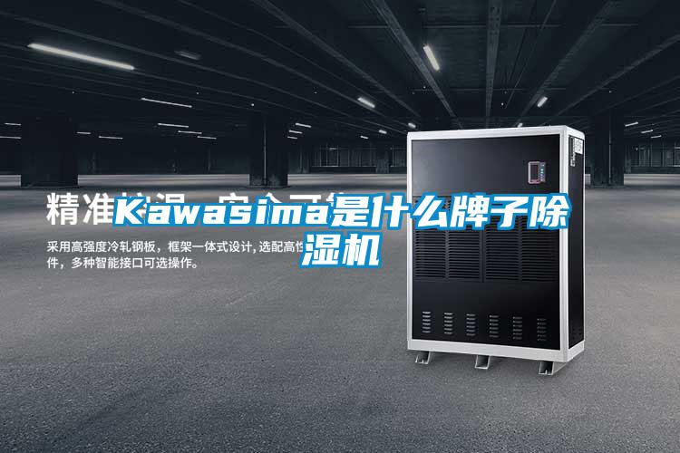 Kawasima是什么牌子香蕉福利视频机