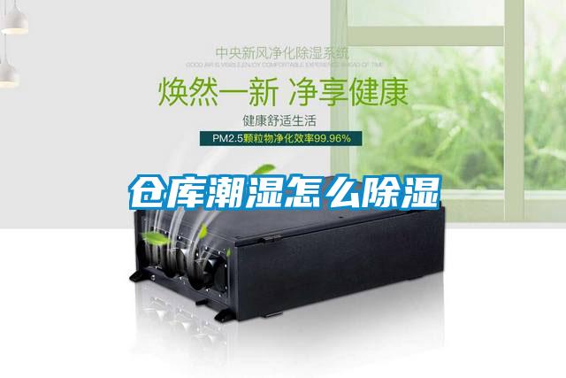 仓库潮湿怎么香蕉福利视频