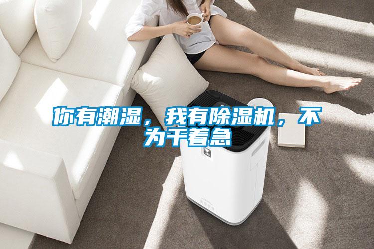 你有潮湿，我有香蕉福利视频机，不为干着急