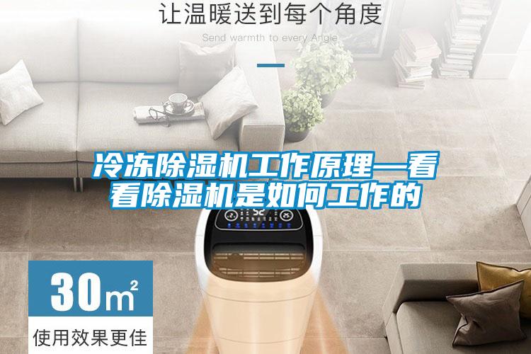 冷冻香蕉福利视频机工作原理—看看香蕉福利视频机是如何工作的