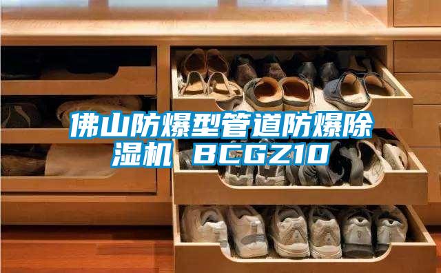 佛山防爆型管道防爆香蕉福利视频机 BCGZ10