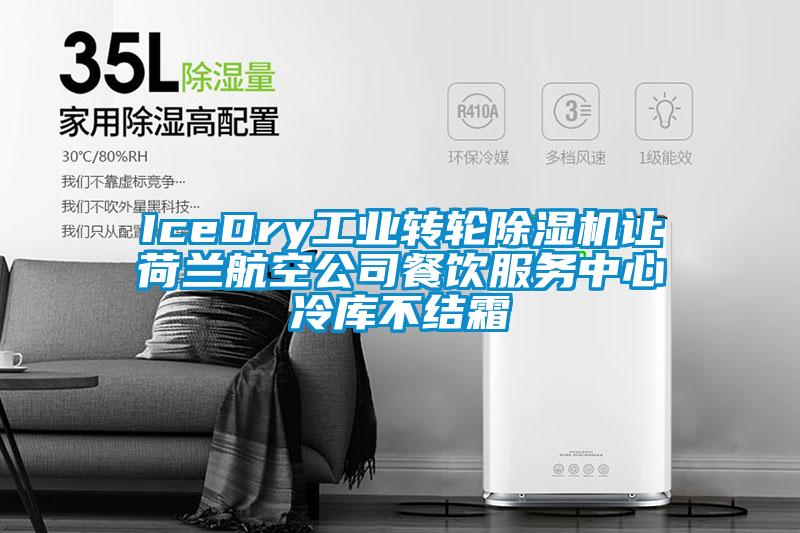 IceDry工业转轮香蕉福利视频机让荷兰航空公司餐饮服务中心冷库不结霜