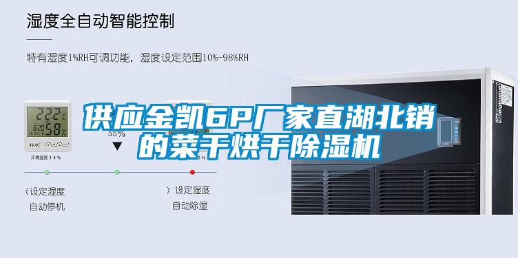 供应金凯6P厂家直湖北销的菜干烘干香蕉福利视频机
