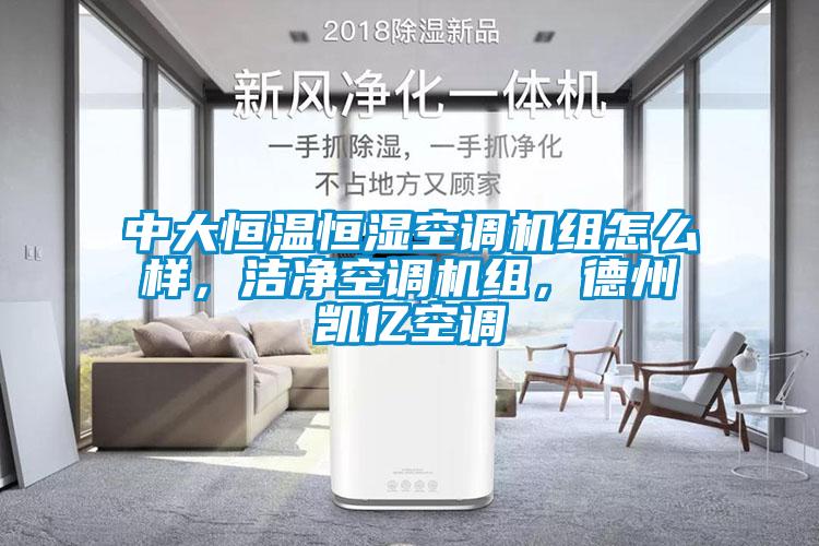 中大恒温恒湿空调机组怎么样，洁净空调机组，德州凯亿空调