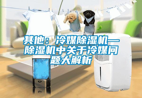 其他：冷媒香蕉福利视频机—香蕉福利视频机中关于冷媒问题大解析