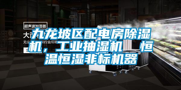 九龙坡区配电房香蕉福利视频机，工业抽湿机  恒温恒湿非标机器
