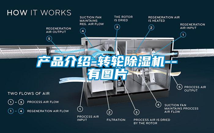 产品介绍-转轮香蕉福利视频机--有图片