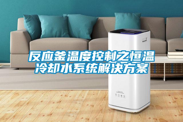 反应釜温度控制之恒温冷却水系统解决香蕉黄色APP网址