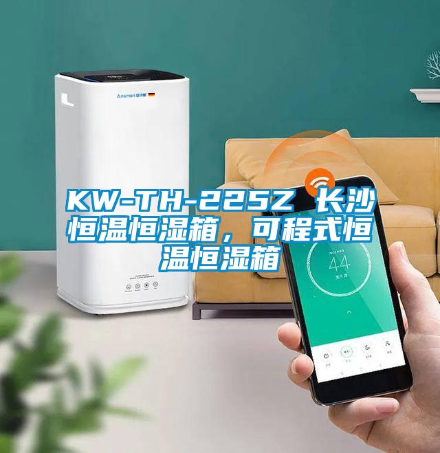 KW-TH-225Z 长沙恒温恒湿箱，可程式恒温恒湿箱
