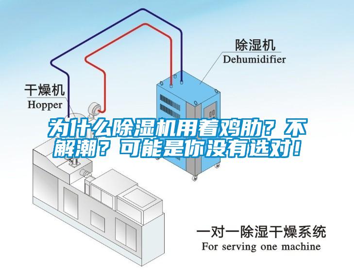 为什么香蕉福利视频机用着鸡肋？不解潮？可能是你没有选对！
