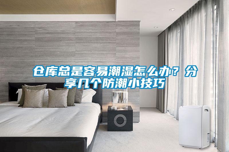 仓库总是容易潮湿怎么办？分享几个防潮小技巧