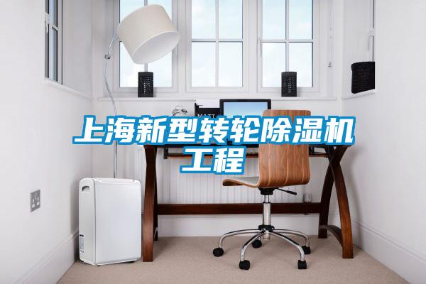 上海新型转轮香蕉福利视频机工程