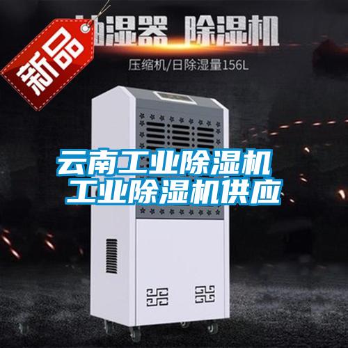 云南工业香蕉福利视频机 工业香蕉福利视频机供应