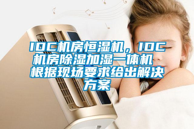 IDC机房恒湿机，IDC机房香蕉福利视频加湿一体机 根据现场要求给出解决香蕉黄色APP网址