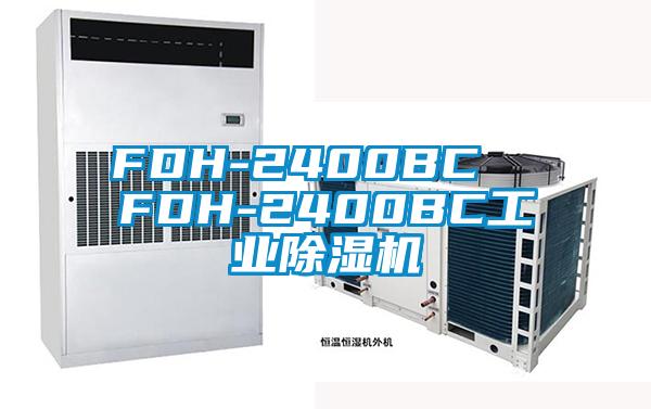 FDH-2400BC  FDH-2400BC工业香蕉福利视频机