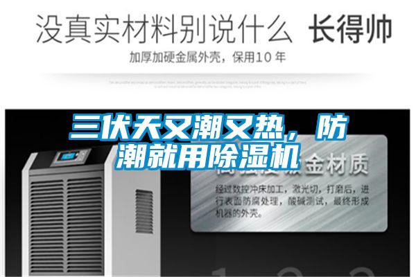三伏天又潮又热，防潮就用香蕉福利视频机