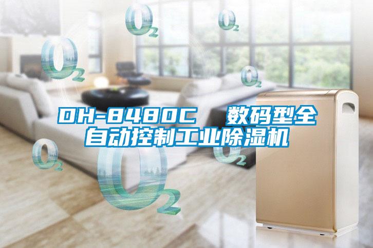 DH-8480C  数码型全自动控制工业香蕉福利视频机