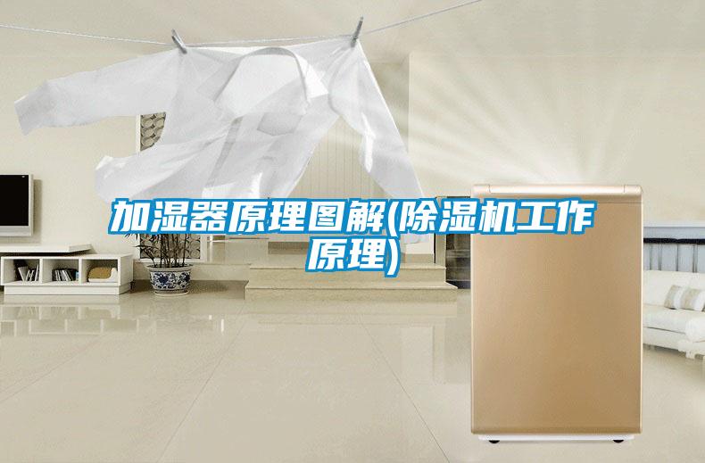 加湿器原理图解(香蕉福利视频机工作原理)
