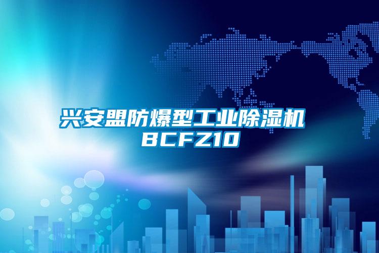 兴安盟防爆型工业香蕉福利视频机 BCFZ10