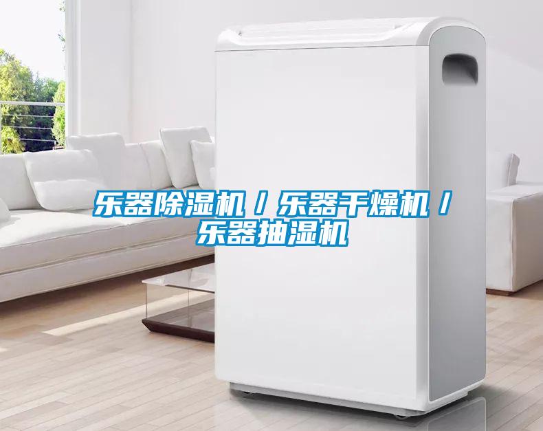 乐器香蕉福利视频机／乐器干燥机／乐器抽湿机
