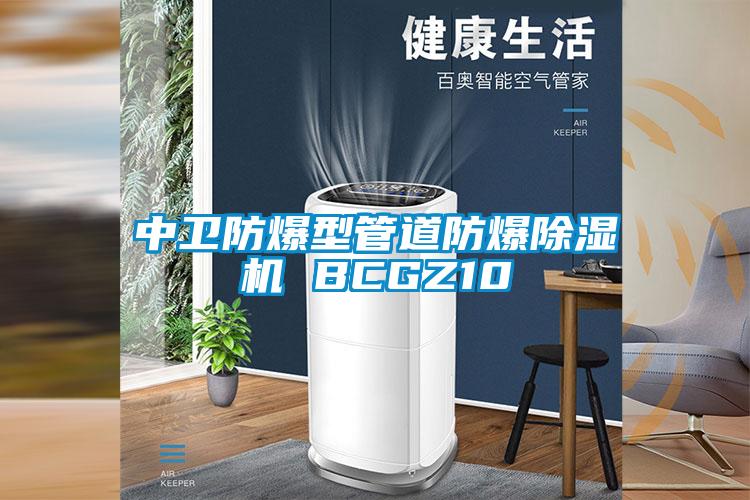 中卫防爆型管道防爆香蕉福利视频机 BCGZ10
