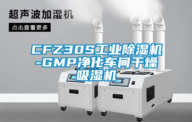CFZ30S工业香蕉福利视频机-GMP净化车间干燥吸湿机
