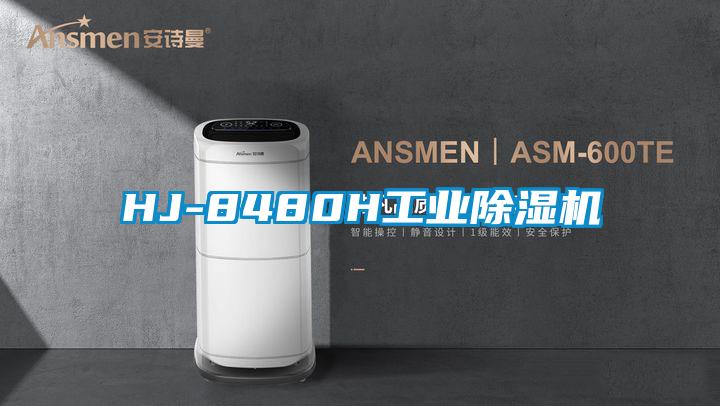 HJ-8480H工业香蕉福利视频机