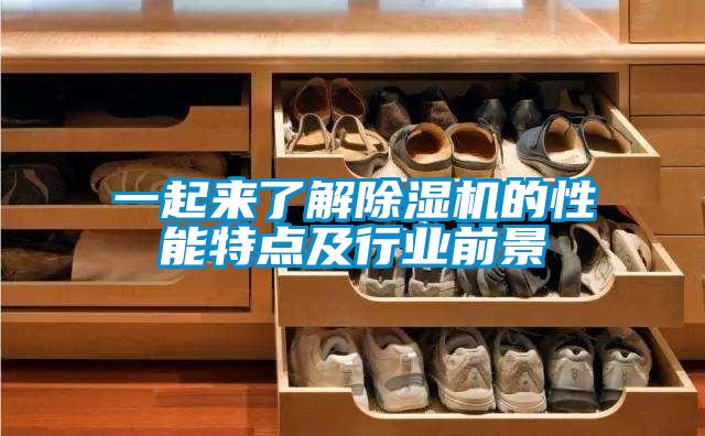 一起来了解香蕉福利视频机的性能特点及行业前景