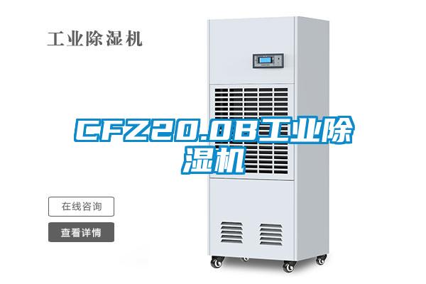 CFZ20.0B工业香蕉福利视频机