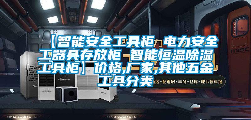 【智能安全工具柜 电力安全工器具存放柜 智能恒温香蕉福利视频工具柜】价格,厂家,其他五金工具分类
