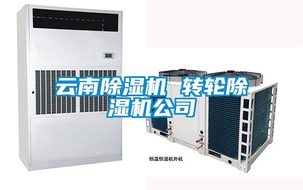 云南香蕉福利视频机 转轮香蕉福利视频机公司