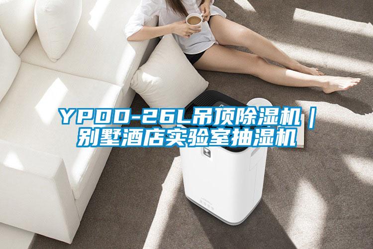 YPDD-26L吊顶香蕉福利视频机｜别墅酒店实验室抽湿机
