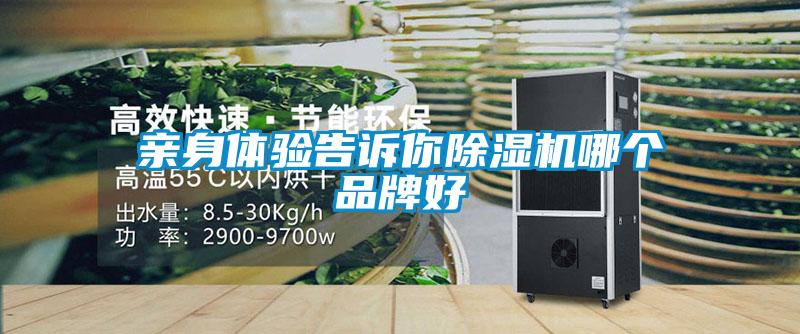 亲身体验告诉你香蕉福利视频机哪个品牌好