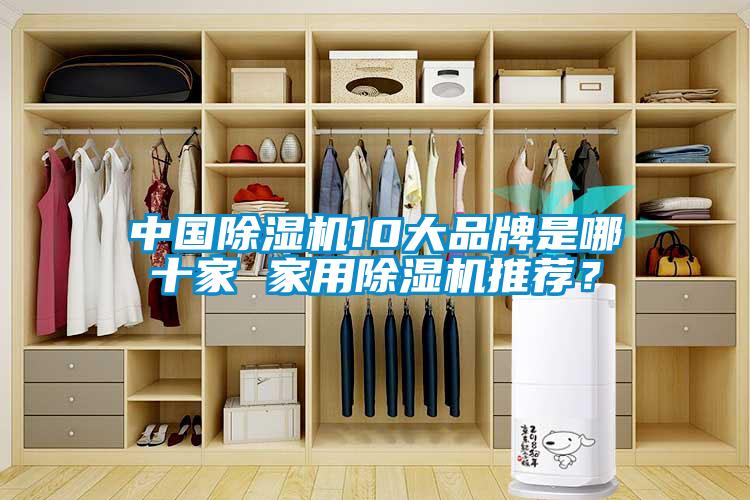 中国香蕉福利视频机10大品牌是哪十家 家用香蕉福利视频机推荐？
