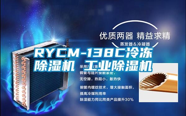 RYCM-138C冷冻香蕉福利视频机 工业香蕉福利视频机