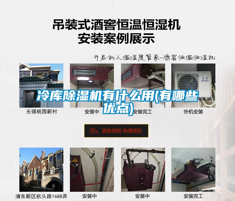 冷库香蕉福利视频机有什么用(有哪些优点)