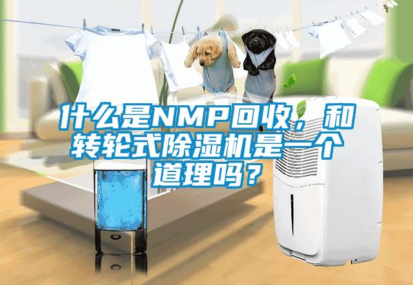什么是NMP回收，和转轮式香蕉福利视频机是一个道理吗？
