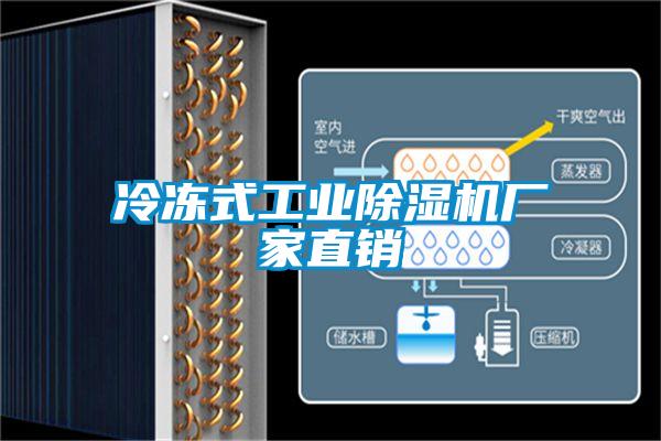 冷冻式工业香蕉福利视频机厂家直销
