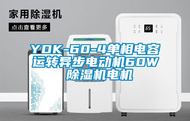 YDK-60-4单相电容运转异步电动机60W 香蕉福利视频机电机