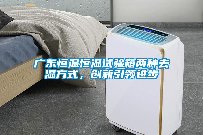 广东恒温恒湿试验箱两种去湿方式，创新引领进步