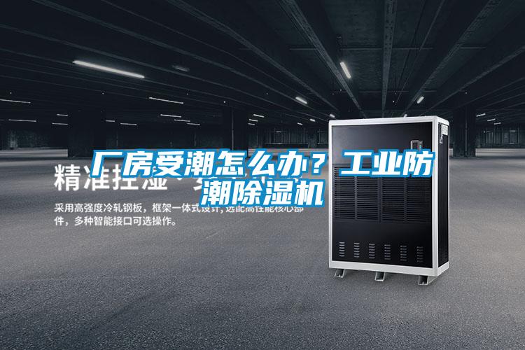 厂房受潮怎么办？工业防潮香蕉福利视频机