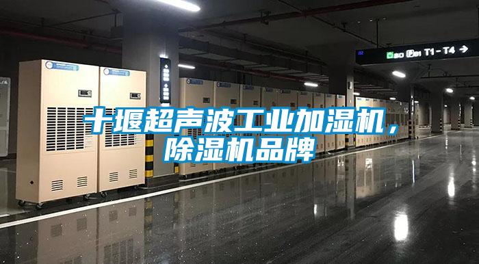 十堰超声波工业加湿机，香蕉福利视频机品牌