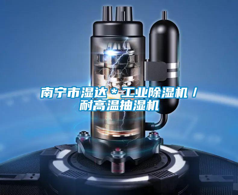 南宁市湿达＊工业香蕉福利视频机／耐高温抽湿机
