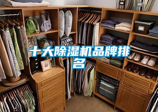 十大香蕉福利视频机品牌排名