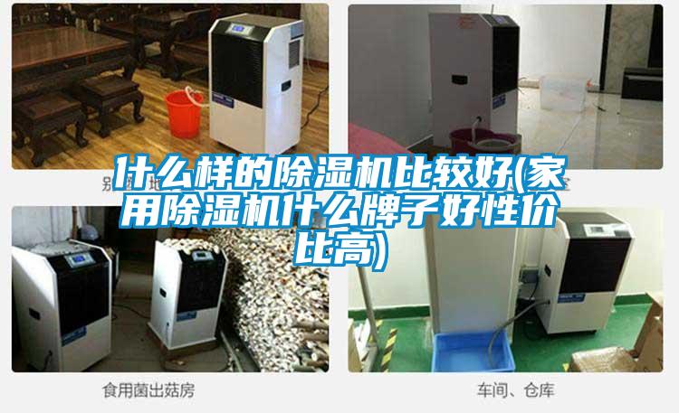 什么样的香蕉福利视频机比较好(家用香蕉福利视频机什么牌子好性价比高)