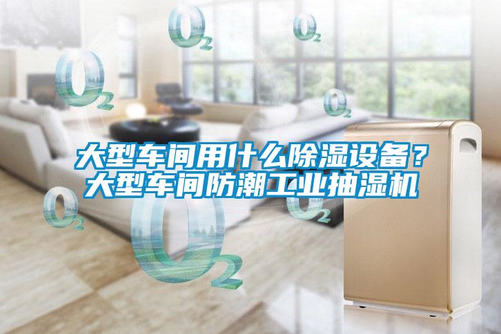 大型车间用什么香蕉福利视频设备？大型车间防潮工业抽湿机