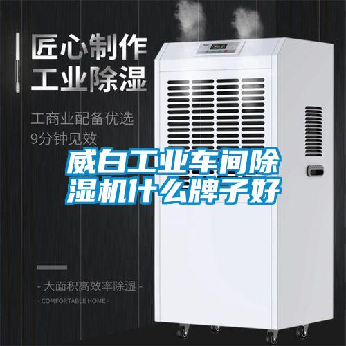威白工业车间香蕉福利视频机什么牌子好